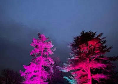 Outdoor architectural uplighting at Highley Manor wedding venue